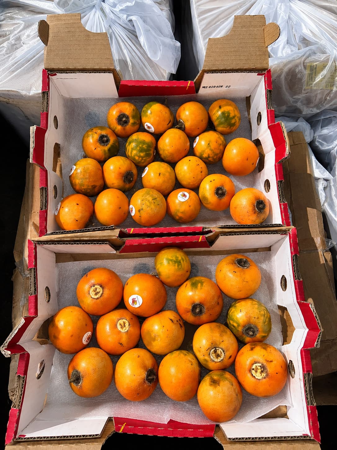 Two open boxes of fruit in red trays, packed in rows